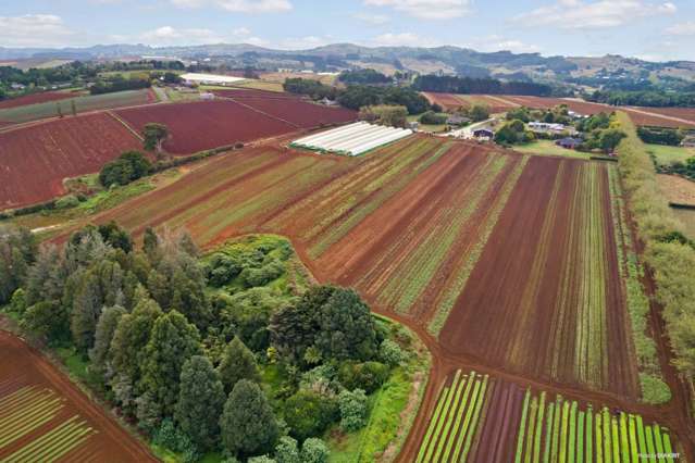 659 Harrisville Road Pukekohe East_3