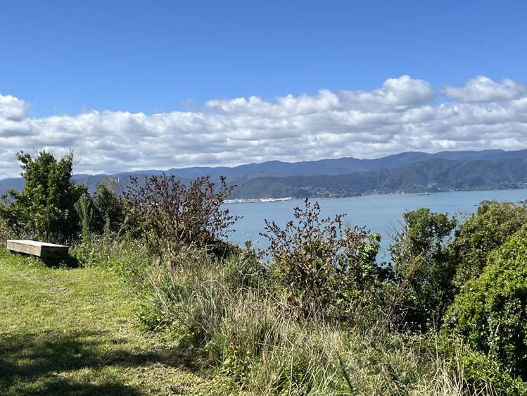 52A Dungarvan Road Newlands_7