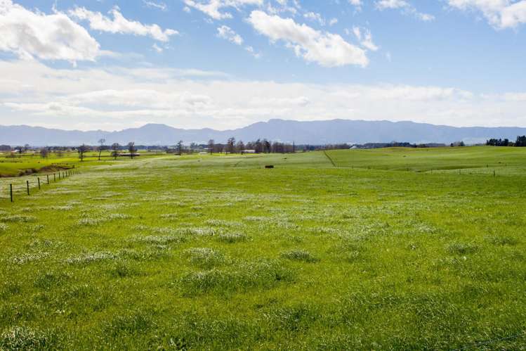 2175 Morrinsville-Walton Road Richmond Downs_18