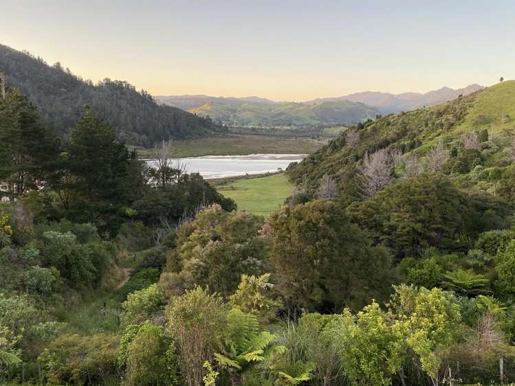 Lot 4 409 The Drive Whangamata_6