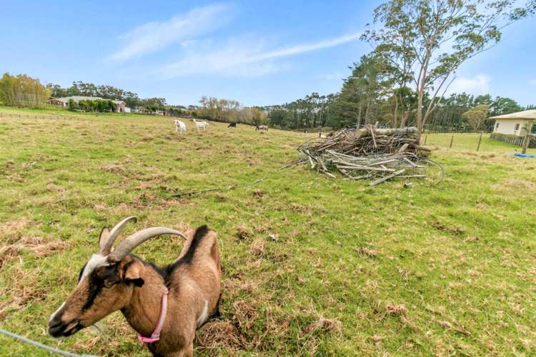 78 Nelson Road Taupaki_25