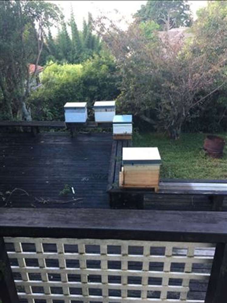 3 Cron Avenue Te Atatu South_3