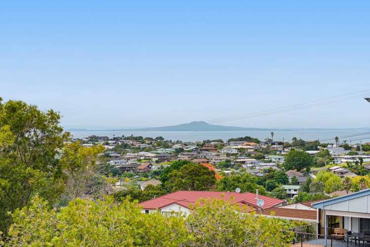 2b Layton Road Manly_2