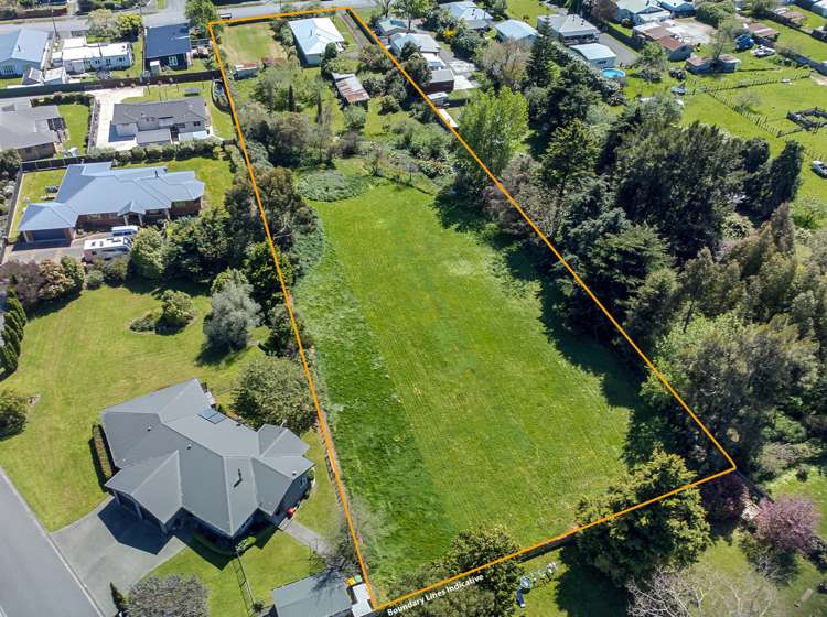 93a Harley Street Solway_1