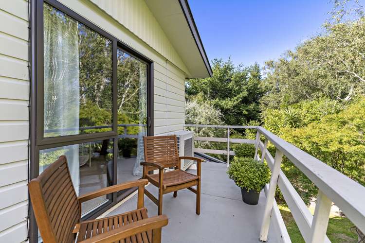 9 Mole Street Greytown_29