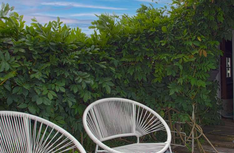 33 Koromiko Street New Lynn_23