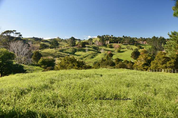 330 Franklin Road Paparoa_43