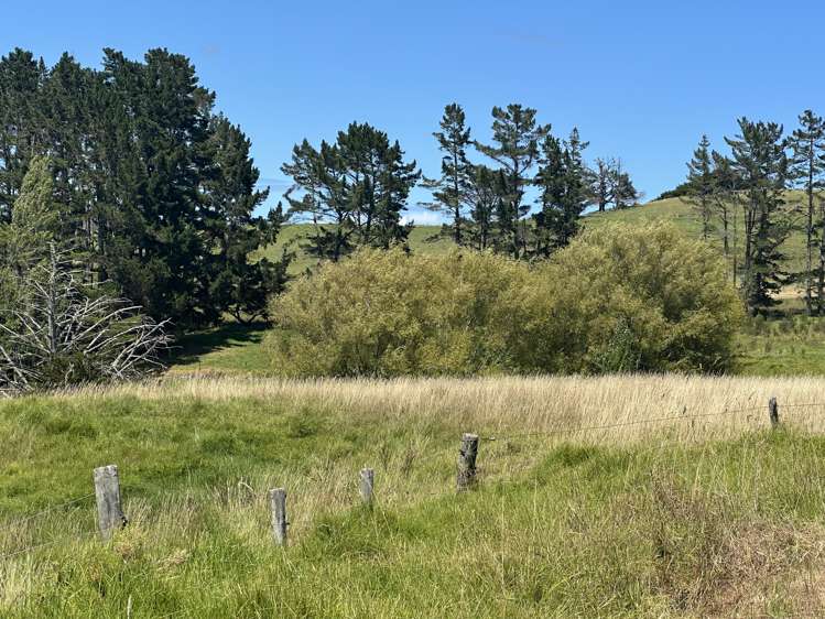 4 Matahehe Lane Tinopai_17