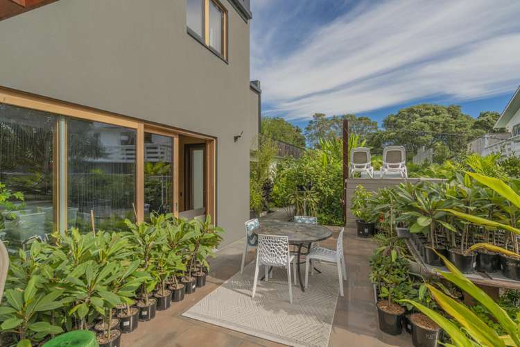 6 Robinson Road Whitianga_15