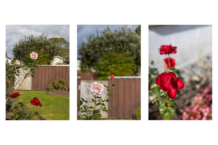 18 Tutauanui Crescent Maungatapu_15