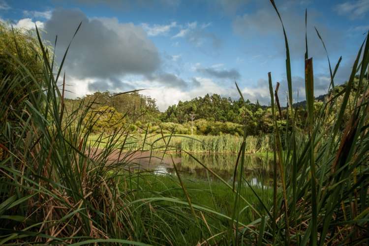 325 State Highway 1 Warkworth_33