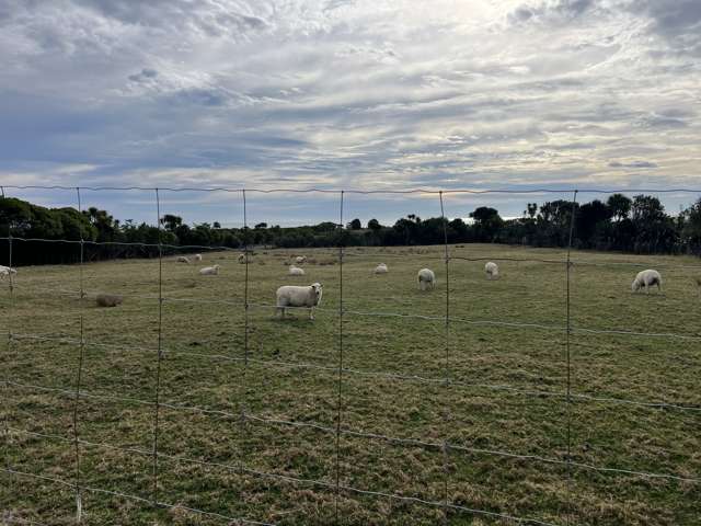 1299 Kumara Junction Highway Awatuna_2