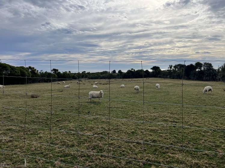 1299 Kumara Junction Highway Awatuna_2