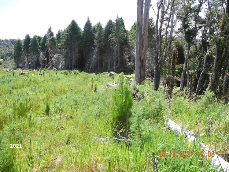 Marsden Road Marsden_6