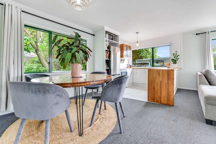 51a Blackburn Street Frankton_5