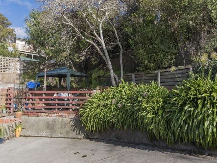 43 Thompson Terrace Toi Toi_12