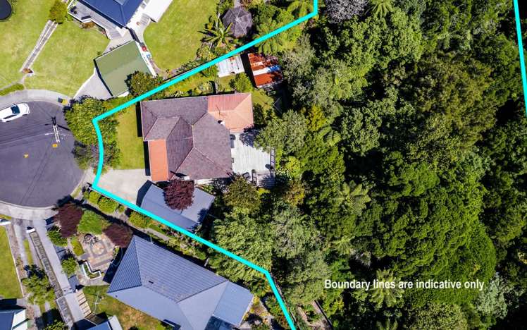 11 Lynton Street Upper Vogeltown_22