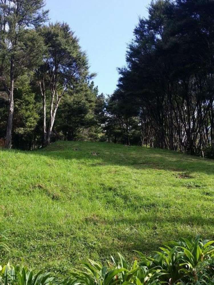 40 Schollum Access Road Warkworth_10