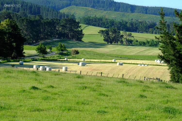 314 Cones Road Loburn_34