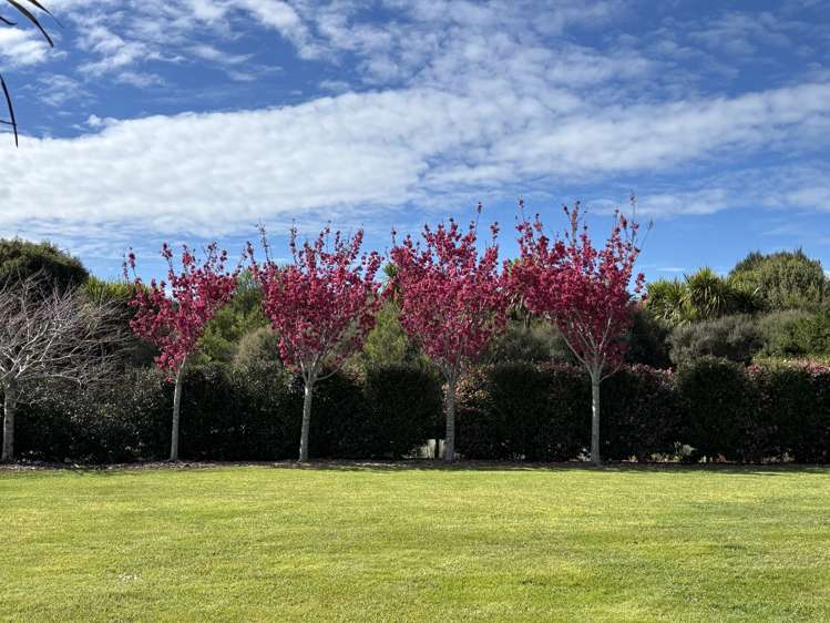 64 Bushlake Way Kingseat_47