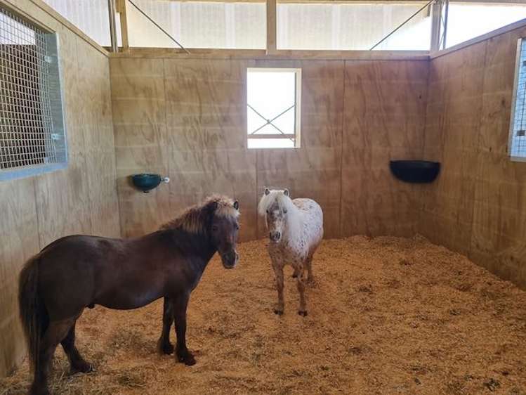 475 Ellesmere Road Lincoln_10