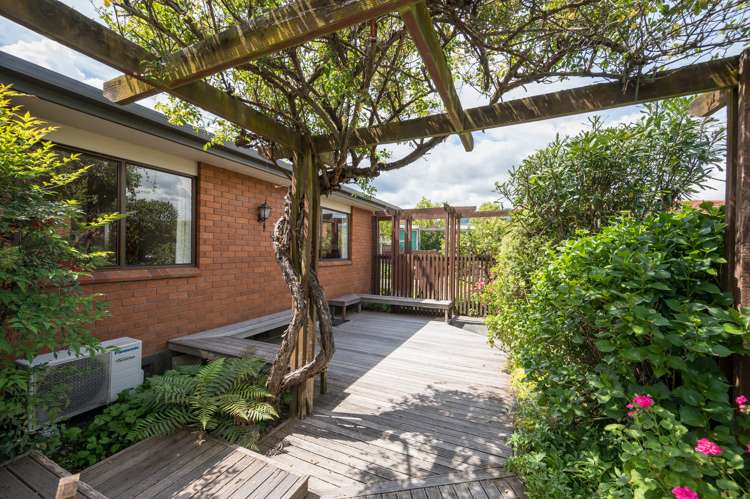 21 Reeves Street Stoke_13