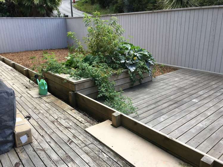 41 Cochrane Avenue Arkles Bay_3