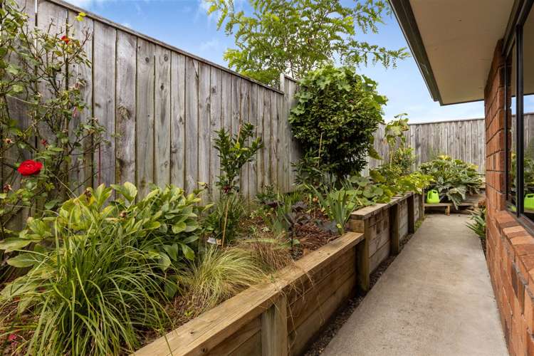 42a Inkerman Street Renwick_25