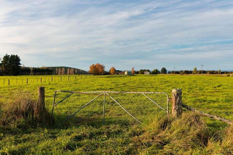 Inland Kaikoura Road Kaikoura_23