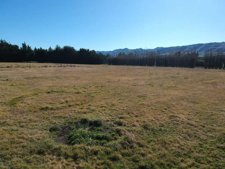 Earthquake Road Duntroon_6