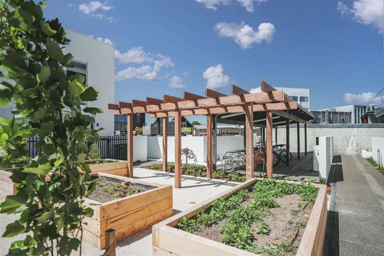 6/360 Montreal Street Christchurch Central_20