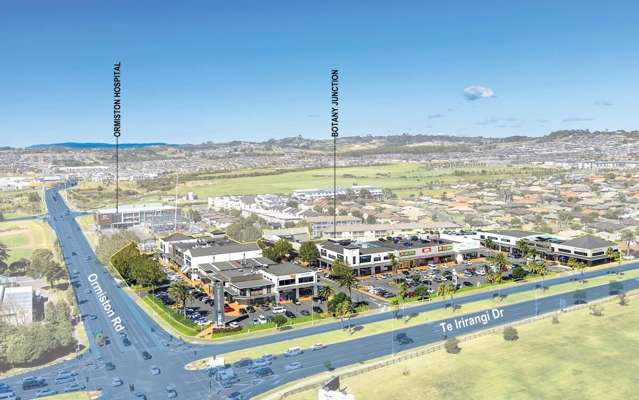 123B Ormiston Road Flat Bush_4