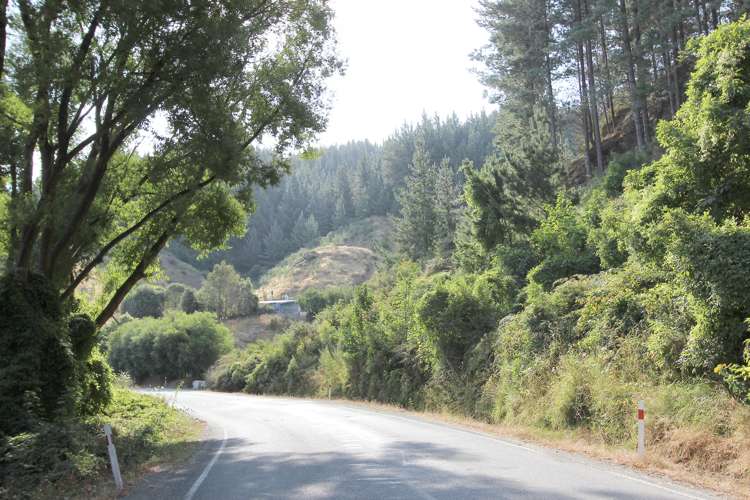 1806 Northbank Road Wairau Valley_13