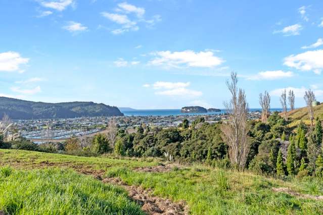 117 Te Pamahue Drive Whangamata_2