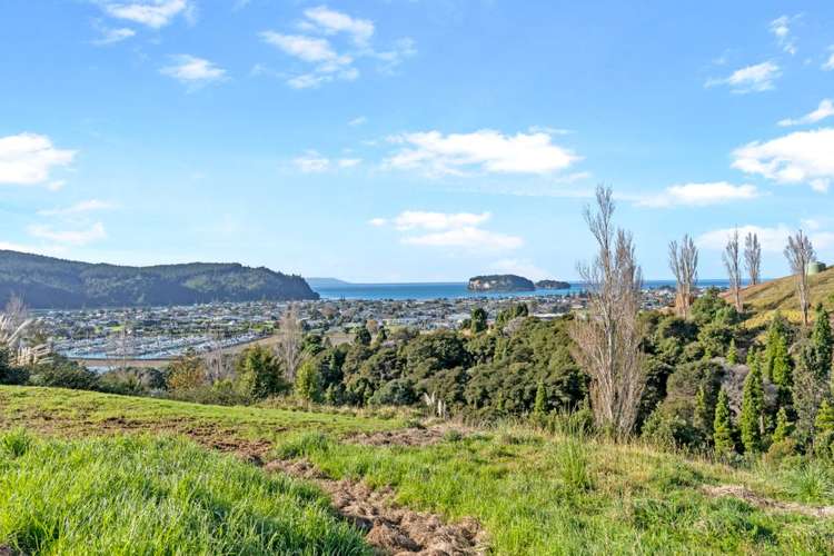 117 Te Pamahue Drive Whangamata_1