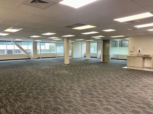 1 Marewa Road Greenlane_4