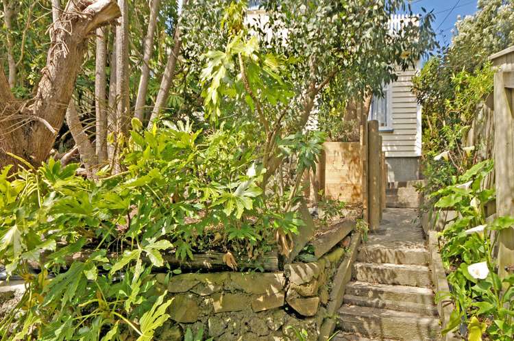 10 Awa Road Miramar_26