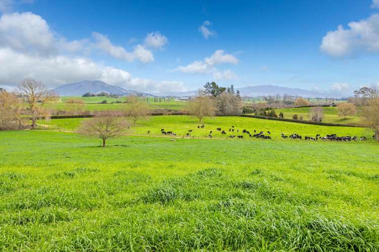 275 St Leger Rd Kihikihi_9