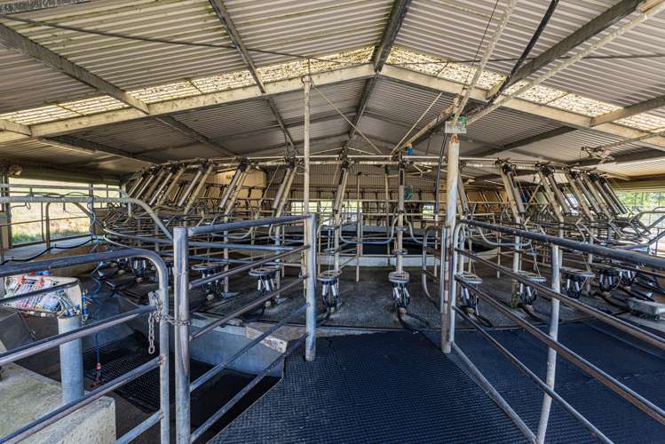 731 Puhipuhi Road Whakapara_13