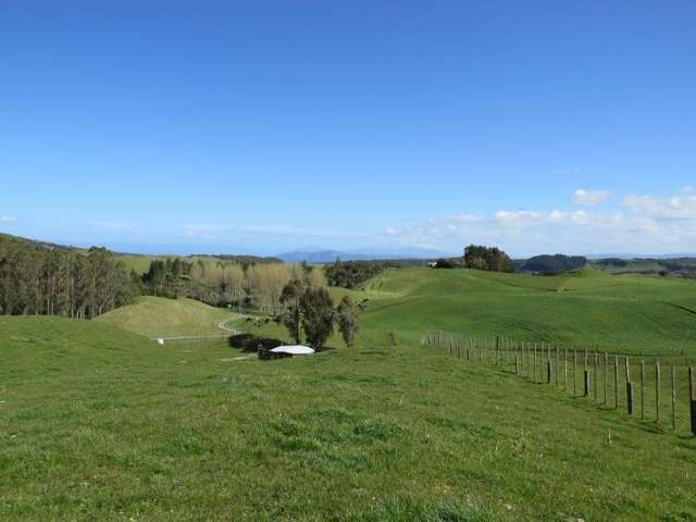 1838 Whangamata Road Marotiri_2