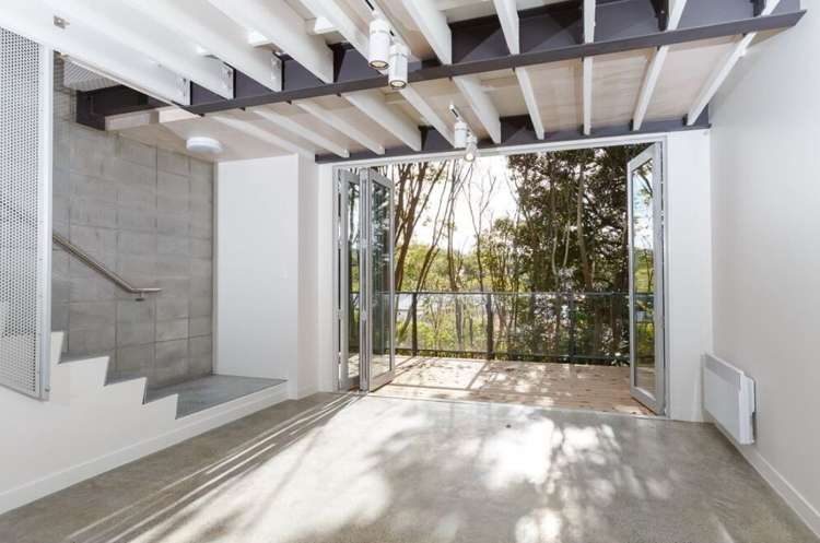 15 Foundries Lane Freemans Bay_2