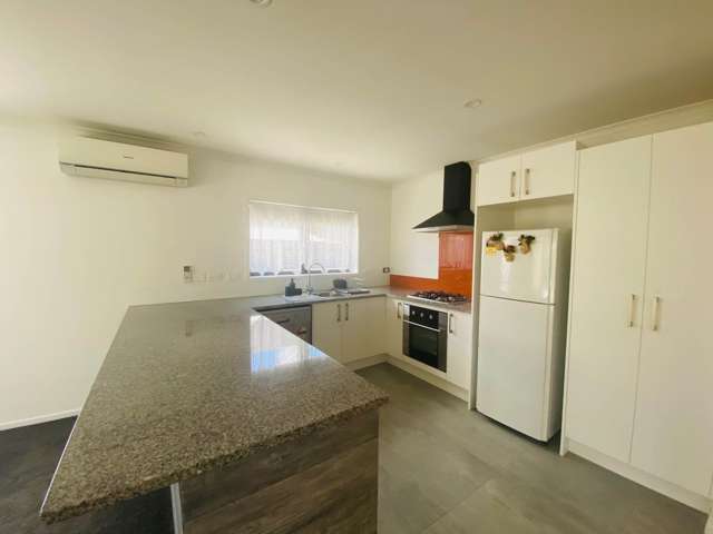 239C Robertson Road Mangere East_2