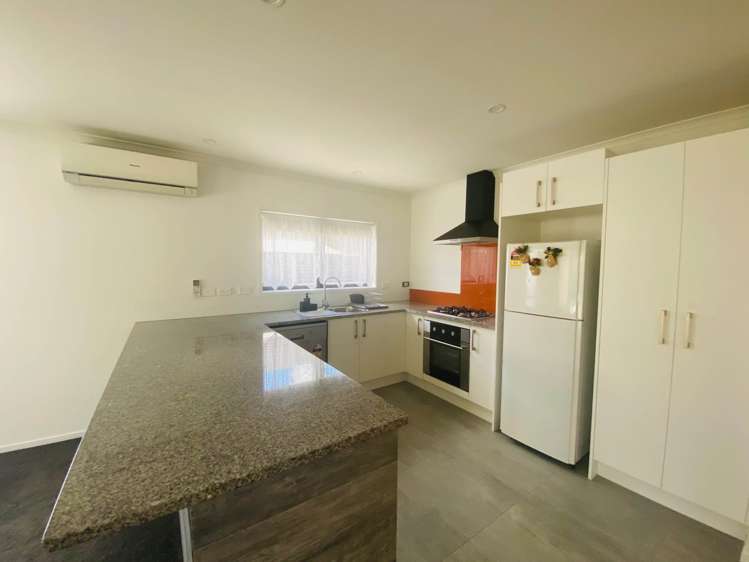 239C Robertson Road Mangere East_2