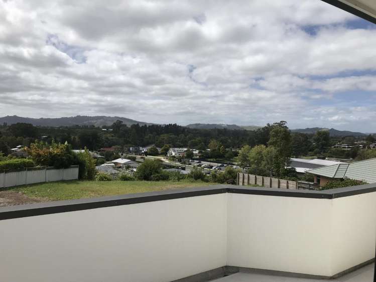 1C Fort Street 11373_12