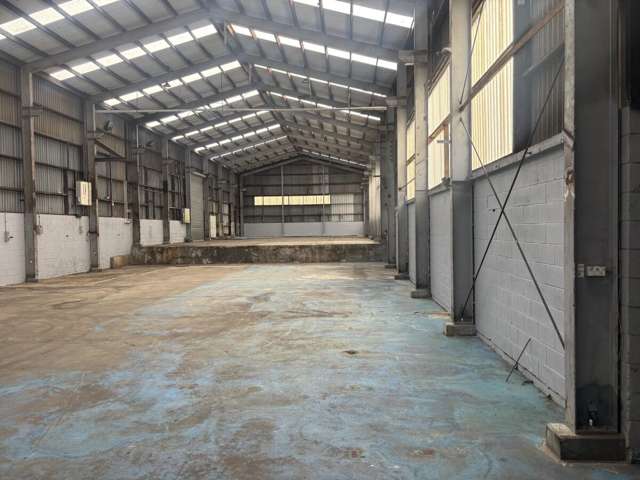 589 Rosebank Road Avondale_4