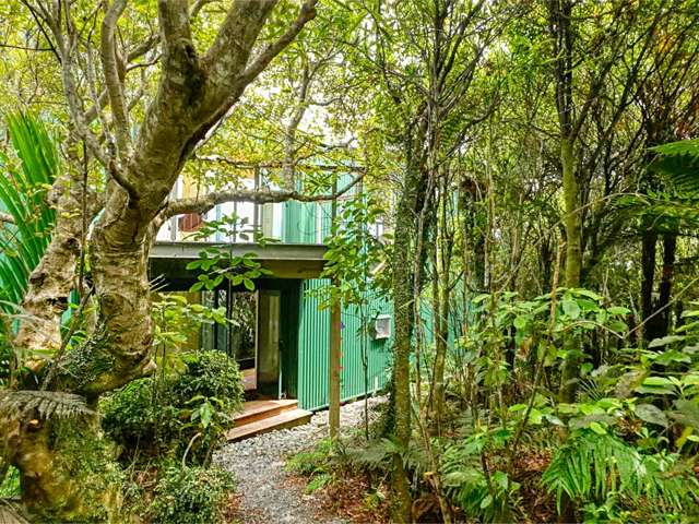 8 Ross Place Te Miko_2