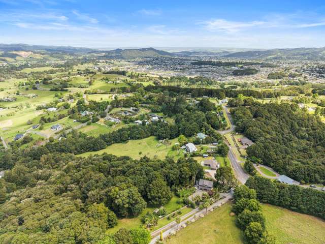 270 Vinegar Hill Road Kauri_2