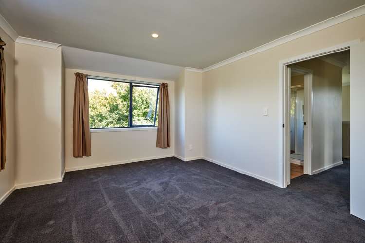 231a Beach Road Kaikoura_14