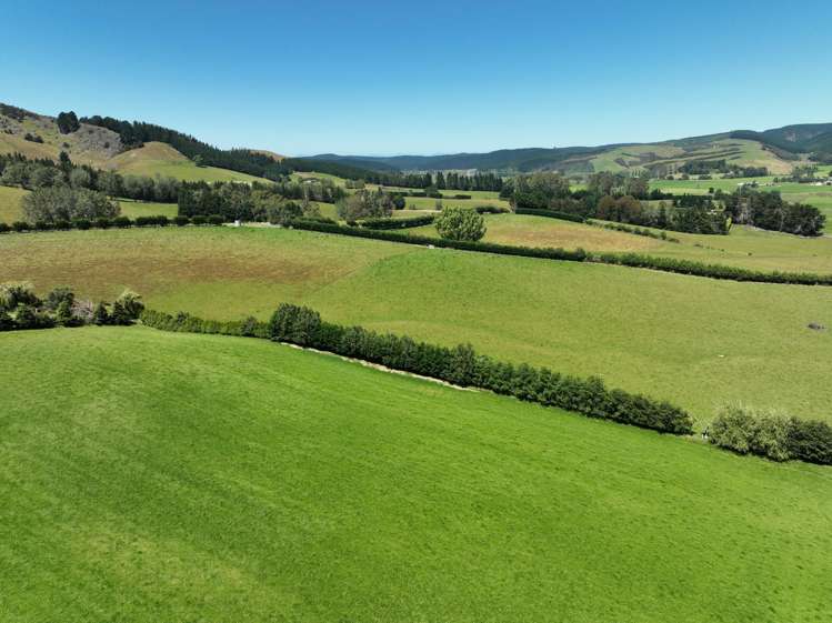 19-21 Cemetery Road Milton_21