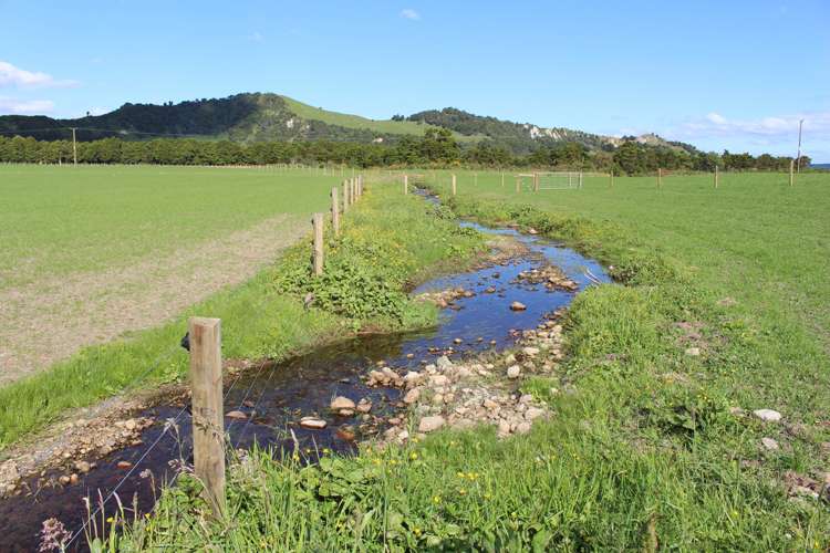 1562 State Highway 2 Kiriwhakapapa_14